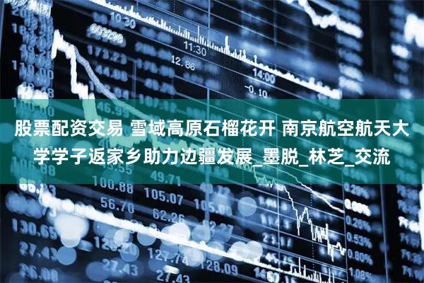 股票配资交易 雪域高原石榴花开 南京航空航天大学学子返家乡助力边疆发展_墨脱_林芝_交流