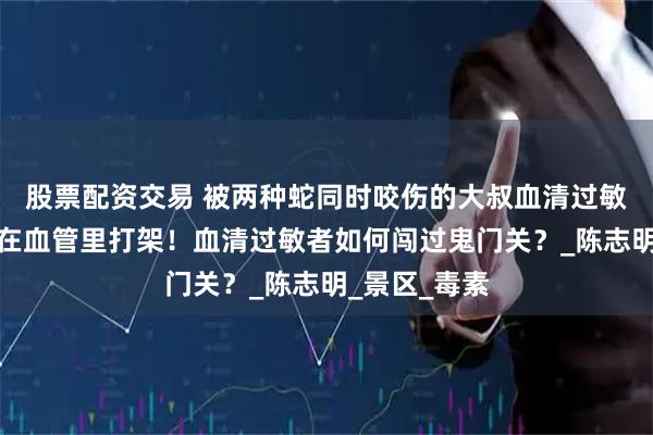 股票配资交易 被两种蛇同时咬伤的大叔血清过敏，两种毒液在血管里打架！血清过敏者如何闯过鬼门关？_陈志明_景区_毒素