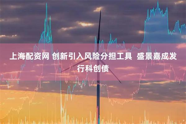 上海配资网 创新引入风险分担工具  盛景嘉成发行科创债